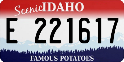 ID license plate E221617