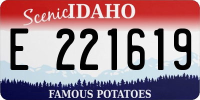 ID license plate E221619