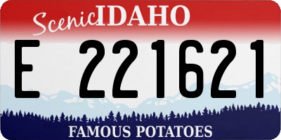 ID license plate E221621