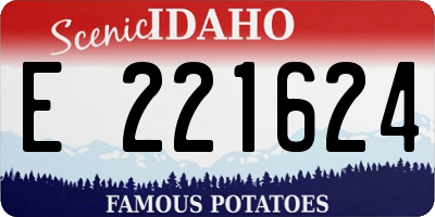 ID license plate E221624