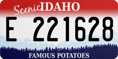 ID license plate E221628