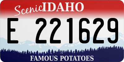 ID license plate E221629