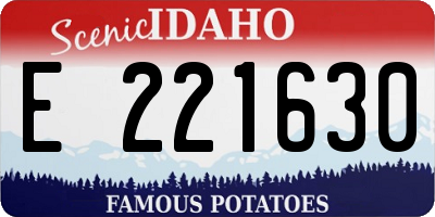 ID license plate E221630