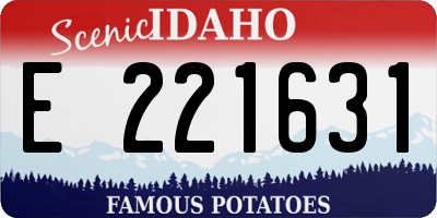 ID license plate E221631