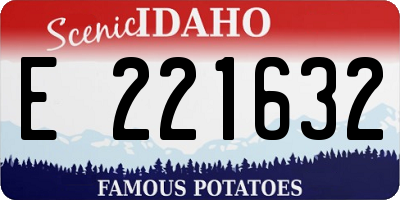 ID license plate E221632