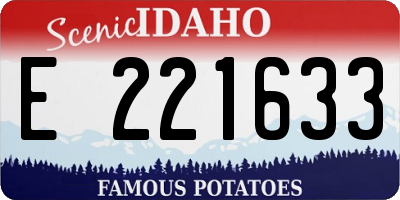 ID license plate E221633