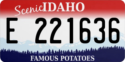 ID license plate E221636