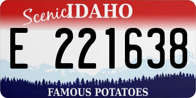 ID license plate E221638