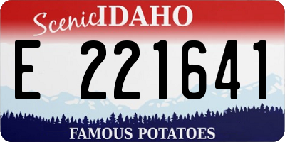 ID license plate E221641