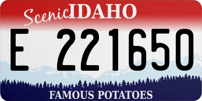 ID license plate E221650