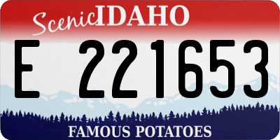 ID license plate E221653