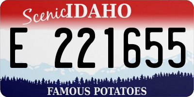 ID license plate E221655