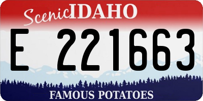 ID license plate E221663