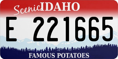 ID license plate E221665