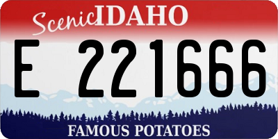 ID license plate E221666