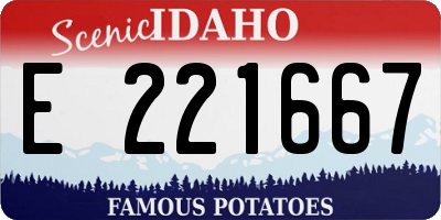 ID license plate E221667