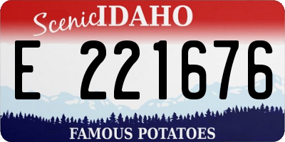 ID license plate E221676