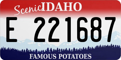 ID license plate E221687