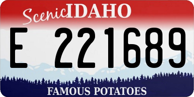 ID license plate E221689