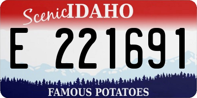 ID license plate E221691