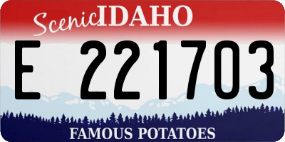 ID license plate E221703