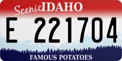 ID license plate E221704