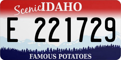 ID license plate E221729