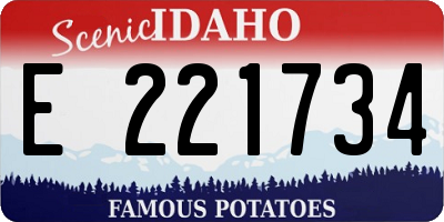 ID license plate E221734