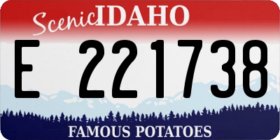 ID license plate E221738