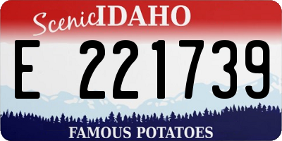 ID license plate E221739