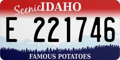 ID license plate E221746
