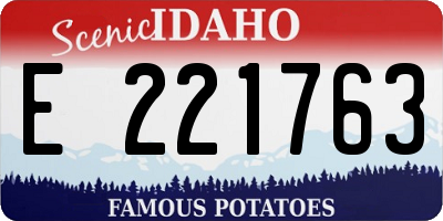 ID license plate E221763