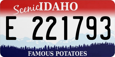 ID license plate E221793