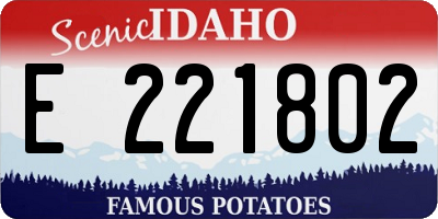 ID license plate E221802