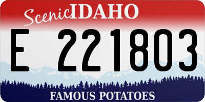 ID license plate E221803