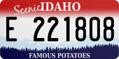 ID license plate E221808