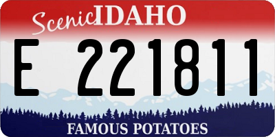 ID license plate E221811