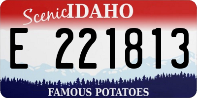 ID license plate E221813