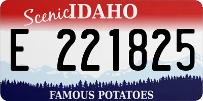 ID license plate E221825