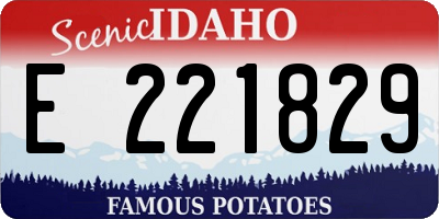 ID license plate E221829