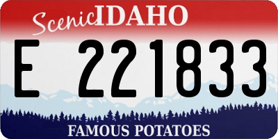 ID license plate E221833