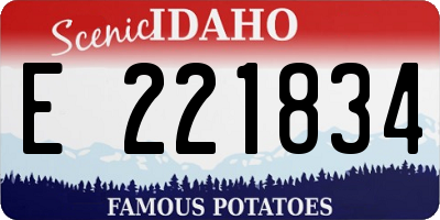 ID license plate E221834