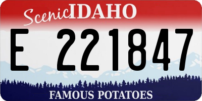 ID license plate E221847