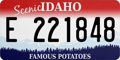 ID license plate E221848