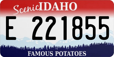 ID license plate E221855