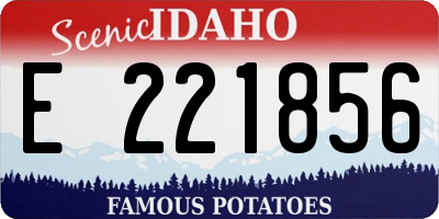 ID license plate E221856