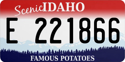 ID license plate E221866