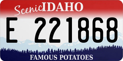 ID license plate E221868