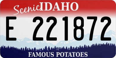 ID license plate E221872