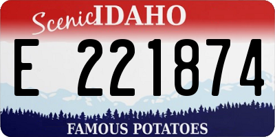 ID license plate E221874